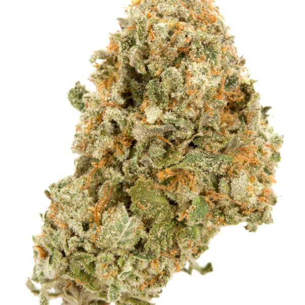 14g/28g - ZOURS - AAA Private Reserve Flower (Hybrid) - DOGTOWN