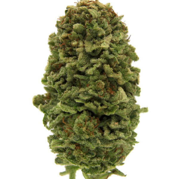 14g/28g - Mac 1 - Exotic Flower (Hybrid) - DOGTOWN