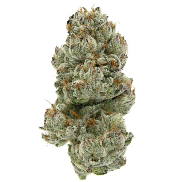 14g/28g - Strawberry Cheesecake - Exotic Flower (Indica) - DOGTOWN