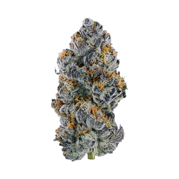 14g/28g - Dippin Dots Runtz - Indoor Exotic Flower (Hybrid) - DOGTOWN
