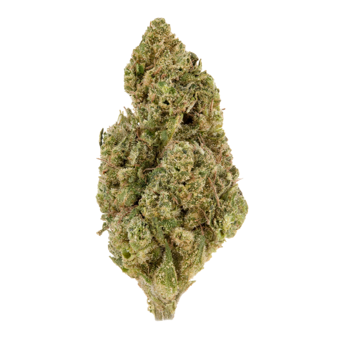 14g/28g - Watermelon Runtz - Light Assist Flower (Indica) - DOGTOWN
