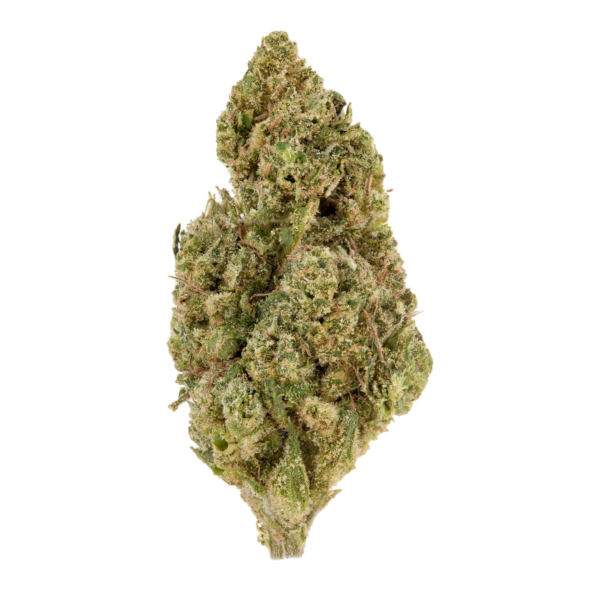 14g/28g - Watermelon Runtz - Light Assist Flower (Indica) - DOGTOWN