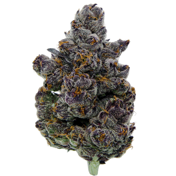 14g/28g - Apple Fritters - Indoor Exotic Flower (Hybrid) - DOGTOWN