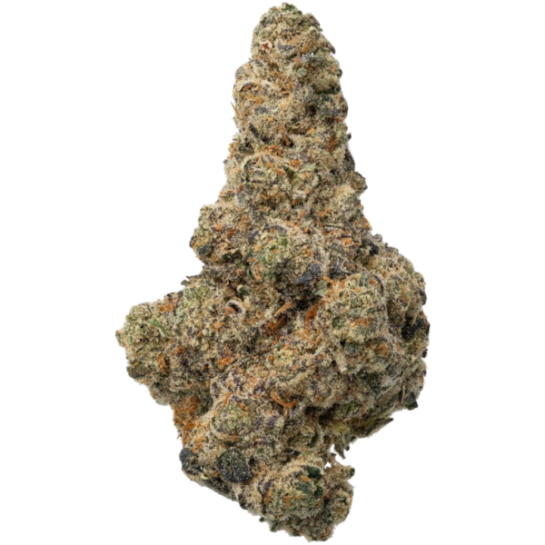 14g/28g - Horchata - Indoor Exotic Flower (Hybrid) - DOGTOWN