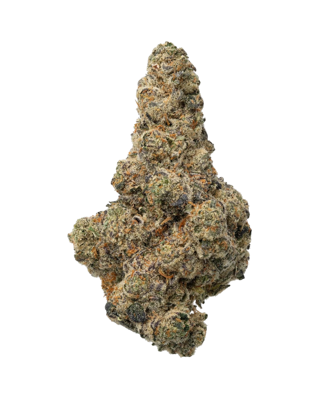14g/28g - Horchata - Indoor Exotic Flower (Hybrid) - DOGTOWN