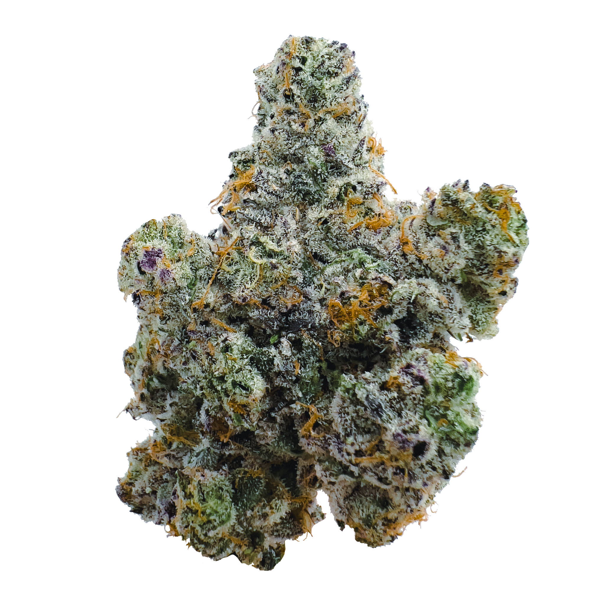 14g/28g - LA Pop Rocks - Indoor Exotic Flower (Indica) - DOGTOWN