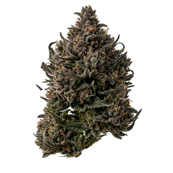 14g/28g - Lava Cake - Light Assist Flower (Indica) - DOGTOWN