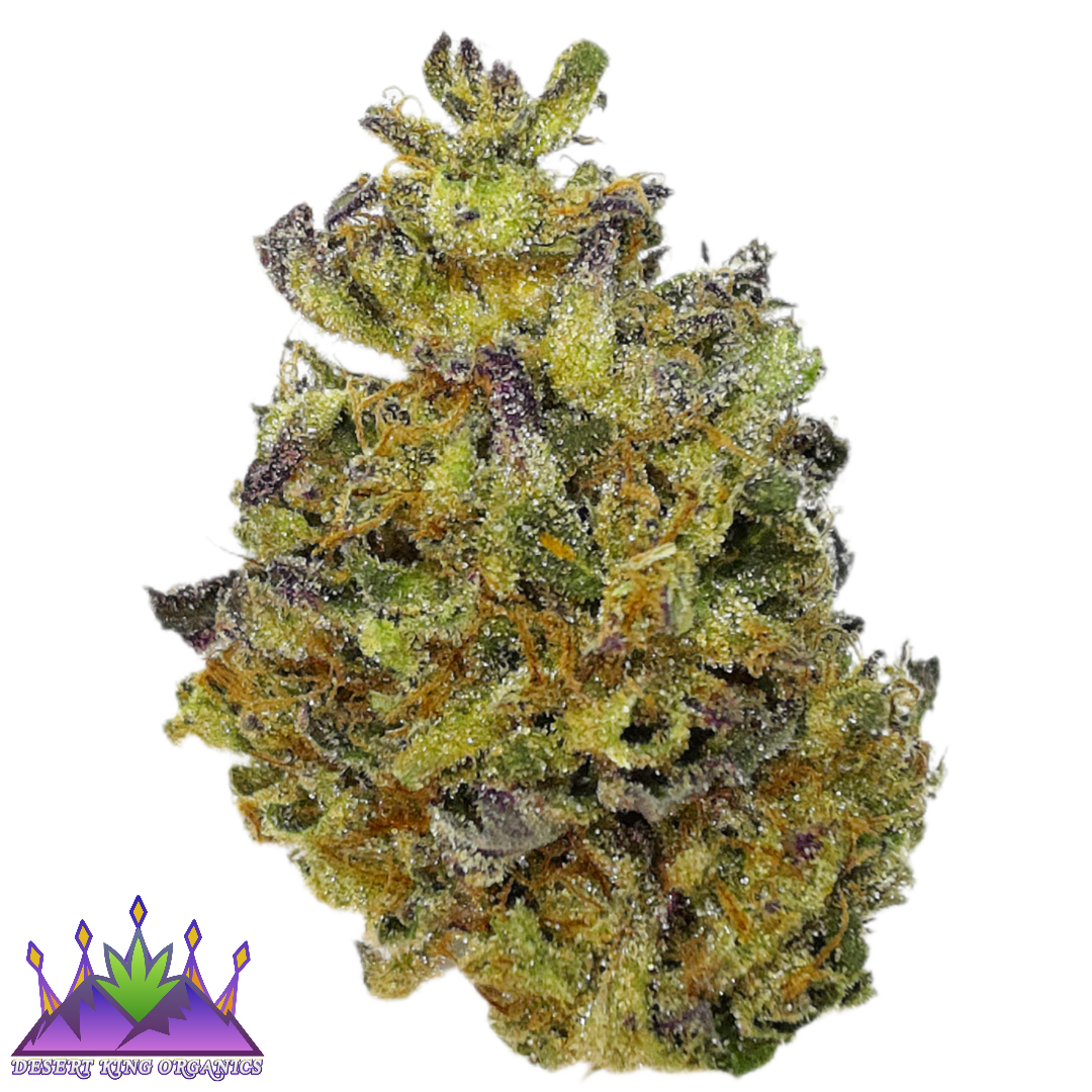 7g - Splintered Reality - Hybrid