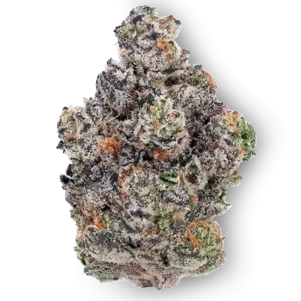14g/28g - Brain Freeze - AAA Exotic Indoor Flower (Hybrid) - DOGTOWN