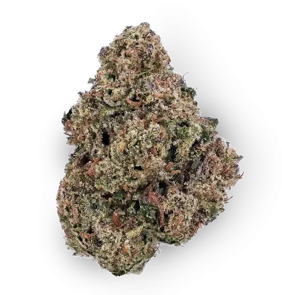 14g/28g - Gruntz - Exotic Flower (Hybrid) - DOGTOWN