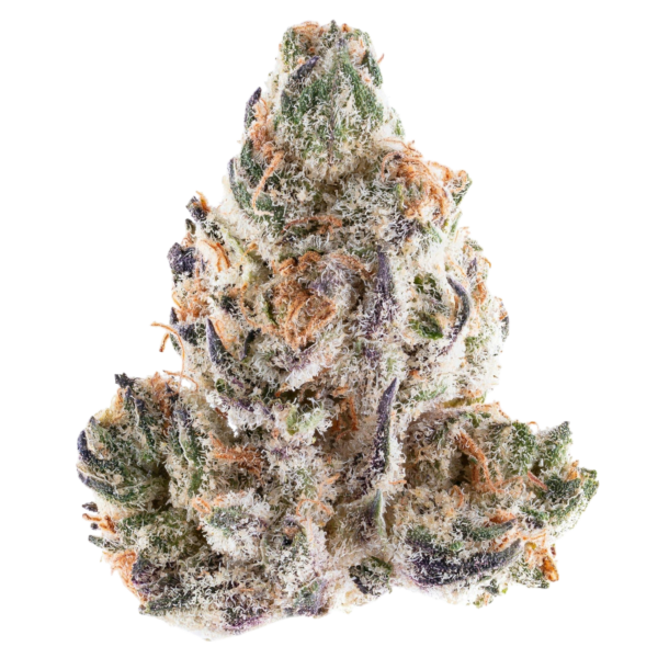 14g/28g - Jelly Rancher - Indoor Exotic Flower (Sativa) - DOGTOWN