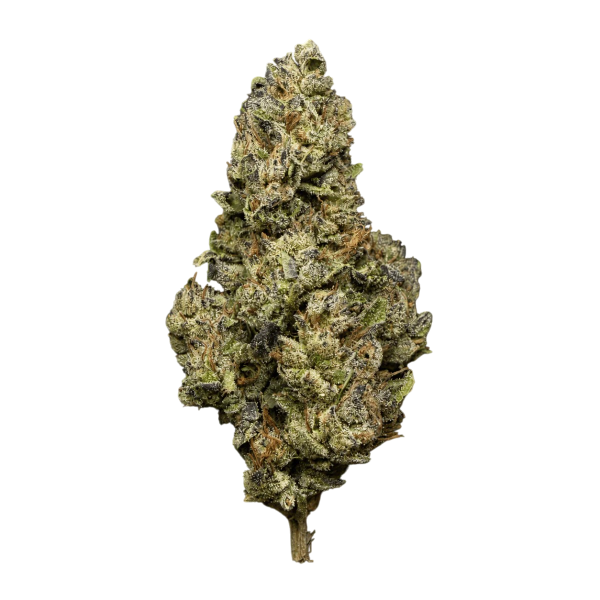 14g/28g - Oreo Blizzy - Light Assist Flower (Indica) - DOGTOWN