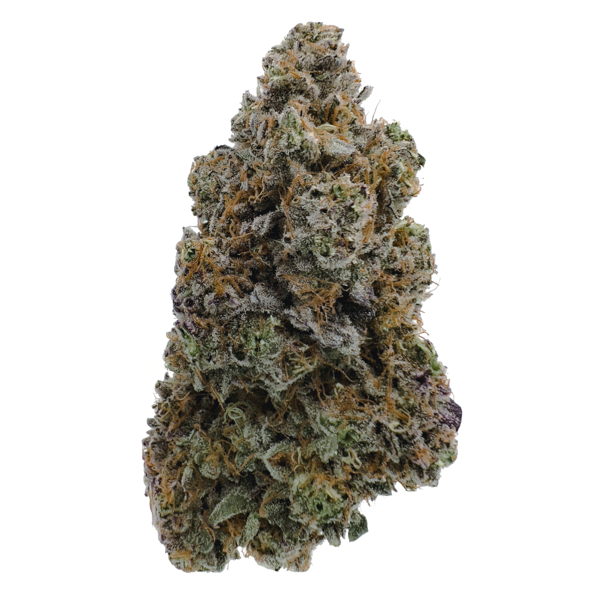 14g/28g - Blue Slushiee - Indoor Exotic Flower (Hybrid) - DOGTOWN