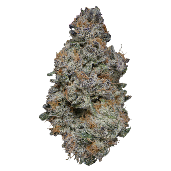 14g/28g - Pink Zertz - Indoor Exotic Flower (Hybrid) - DOGTOWN