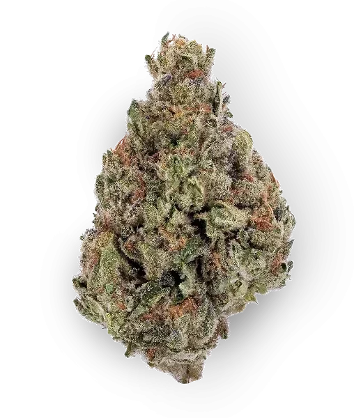14g/28g - Scary Cherry - Exotic Flower (Indica) - DOGTOWN