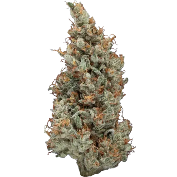 14g/28g - Sour Jack - Indoor Exotic Flower (Sativa) - DOGTOWN