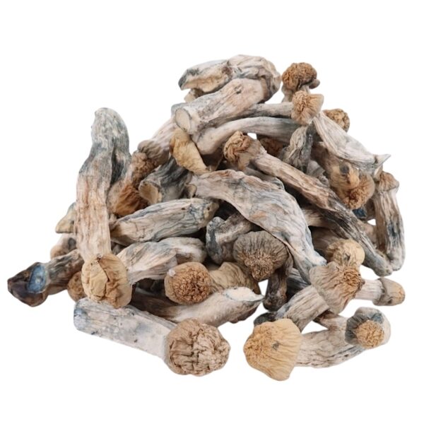 4g - Baby APES Magic Mushrooms