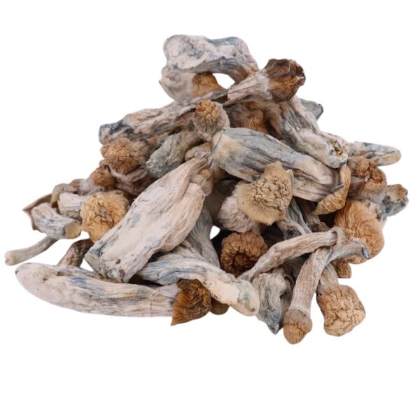 4g - Albino Tidal Wave Magic Mushrooms