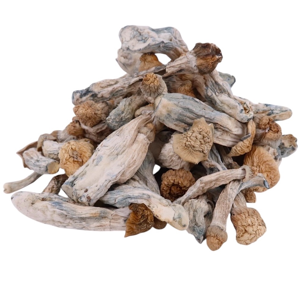 4g - Albino Tidal Wave Magic Mushrooms