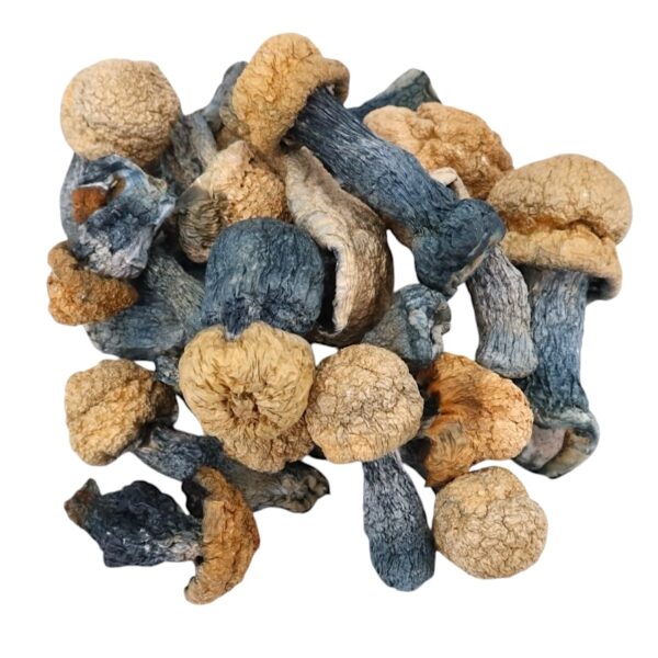 4g - Apex Magic Mushrooms