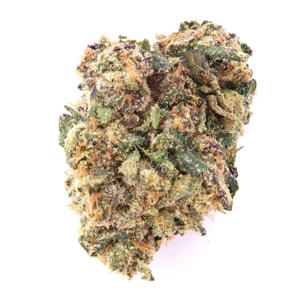 7g - Chem 91 Indoor - Hybrid