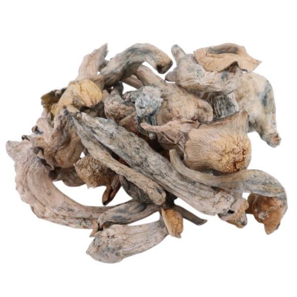 4g - Iceberg Magic Mushrooms