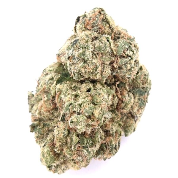 7g - Galactic Warhead Indoor - Hybrid