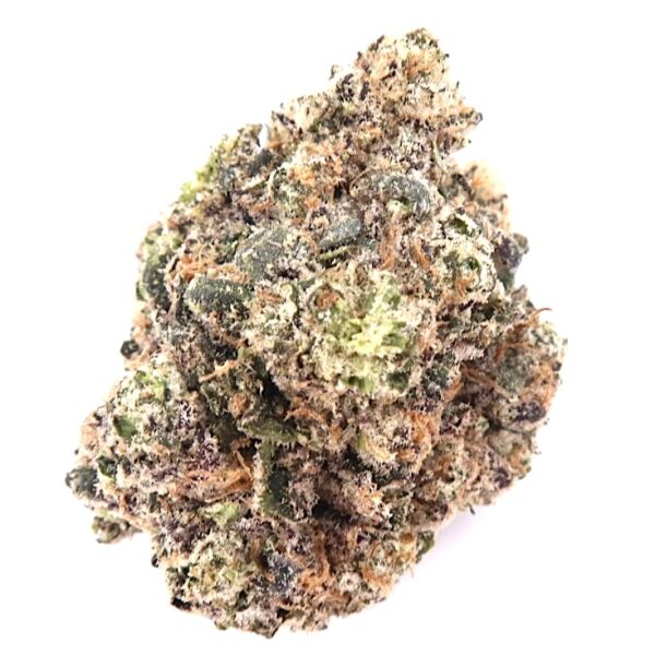 7g - L.A. Push Pop - Hybrid