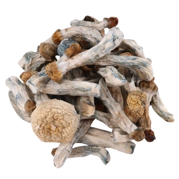 4g - Bluey Vuitton Magic Mushrooms