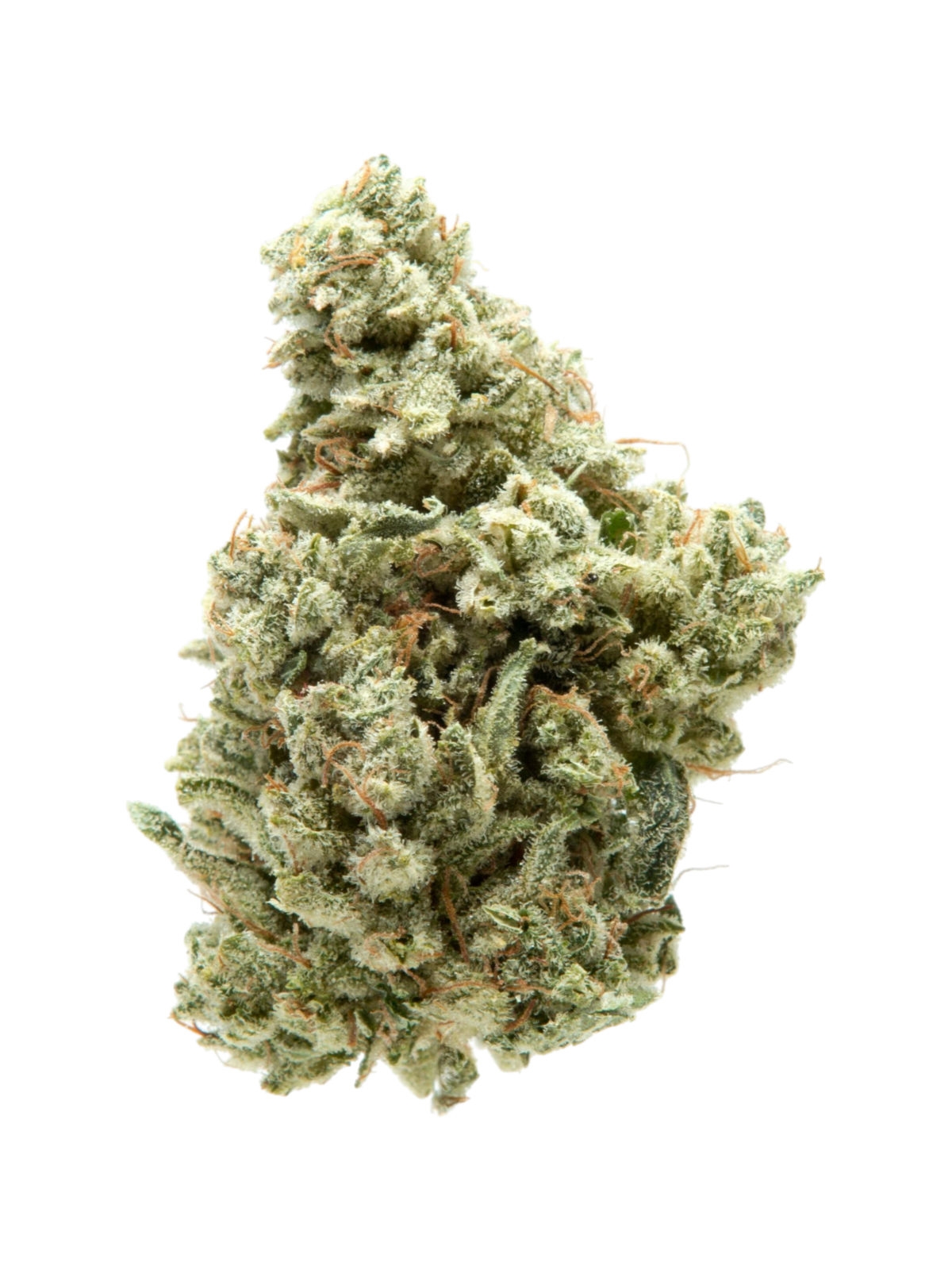14g/28g - Grease Monkey - Indoor Exotic Flower (Indica) - DOGTOWN
