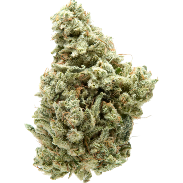14g/28g - Grease Monkey - Indoor Exotic Flower (Indica) - DOGTOWN