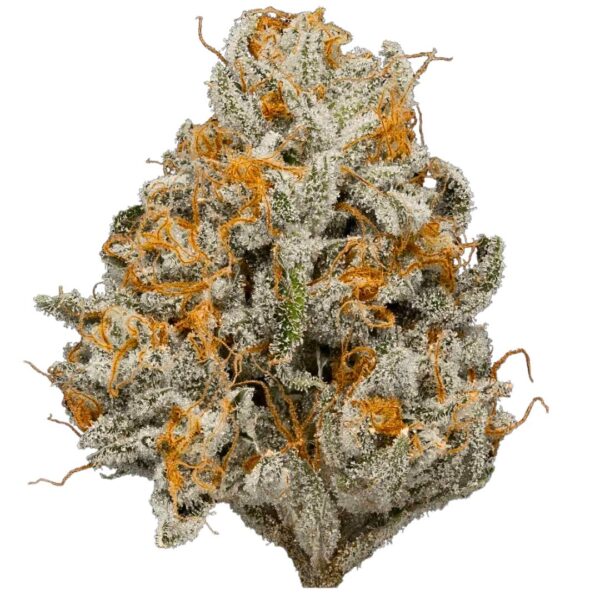 14g/28g - Giraffe Puzzy - AAA Private Reserve Flower (Indica) - DOGTOWN