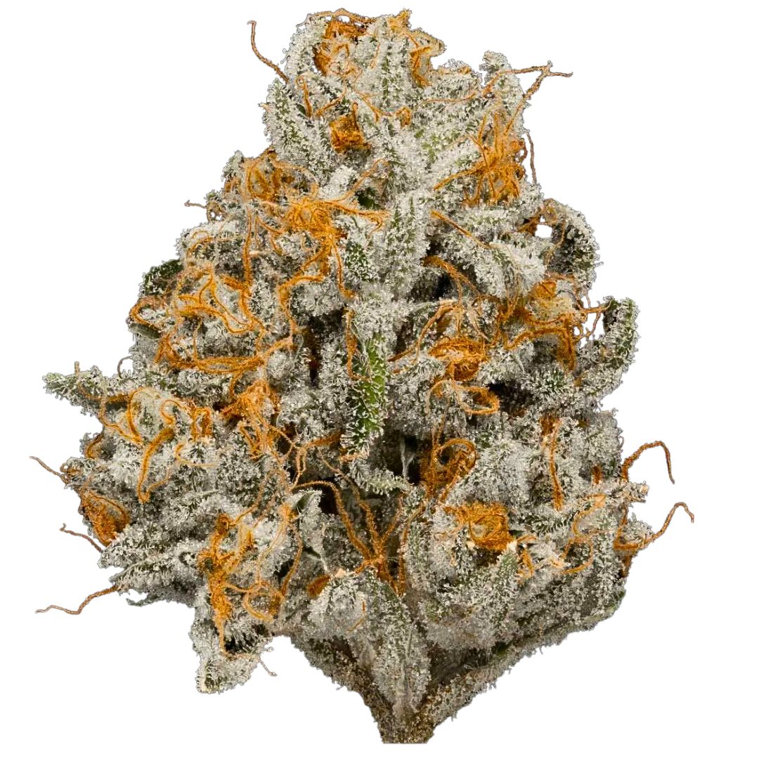 14g/28g - Giraffe Puzzy - AAA Private Reserve Flower (Indica) - DOGTOWN