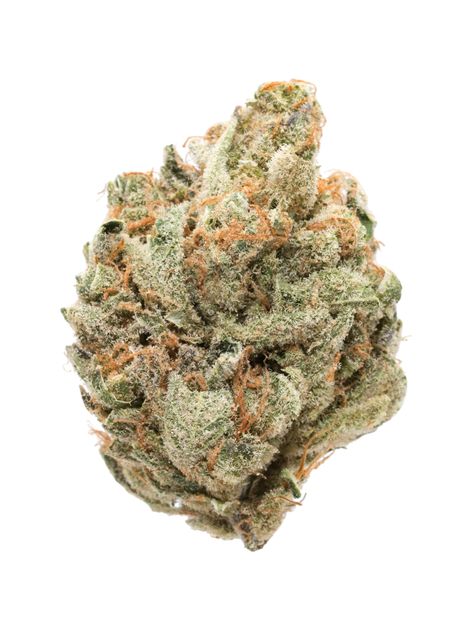 14g/28g - Sour Tangie - Light Assist Flower (Sativa) - DOGTOWN