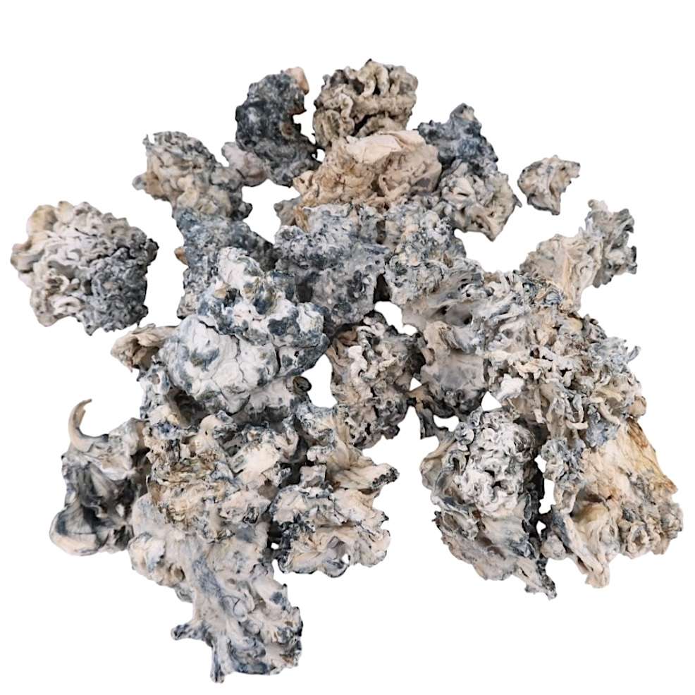 2g - Enigma Smalls Magic Mushrooms - Image 2