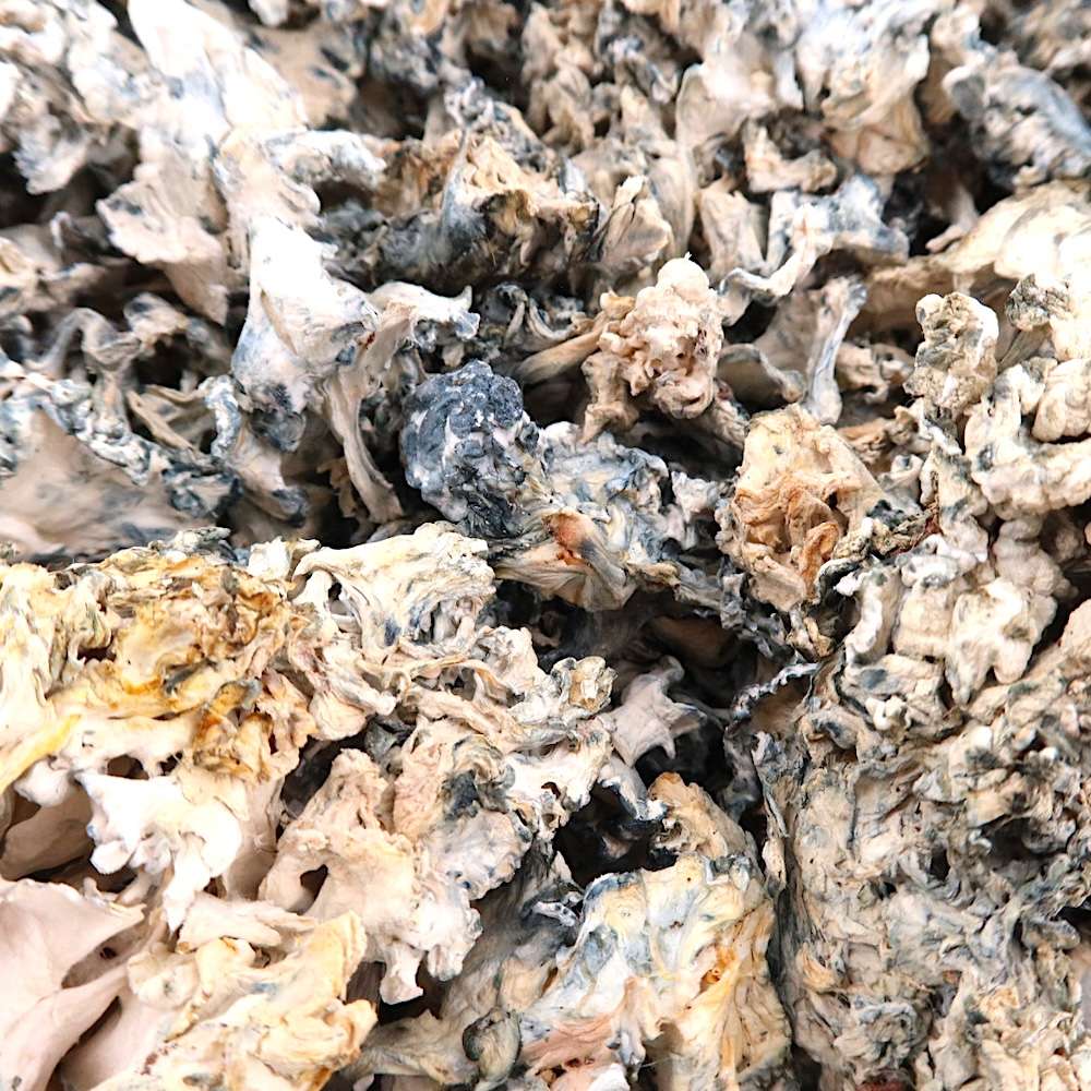 2g - Enigma Smalls Magic Mushrooms - Image 3