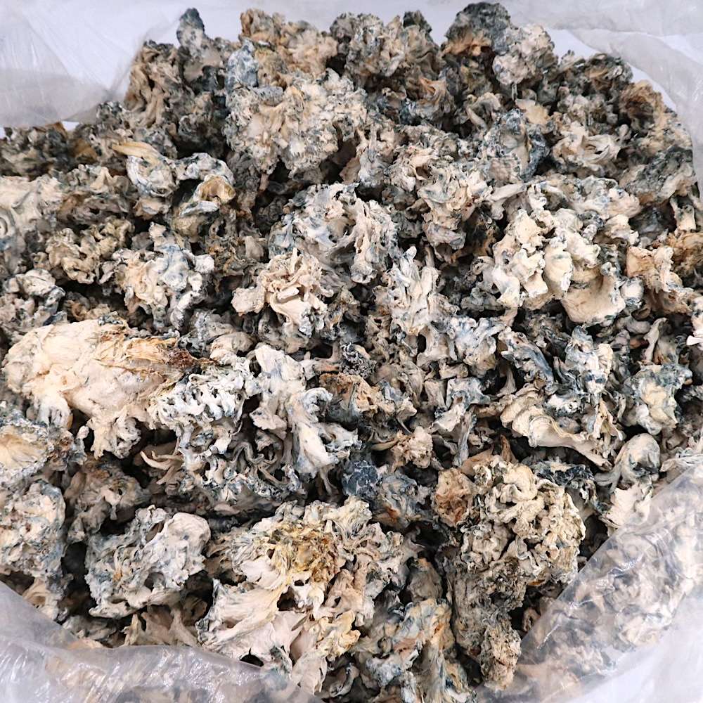 2g - Enigma Smalls Magic Mushrooms - Image 4