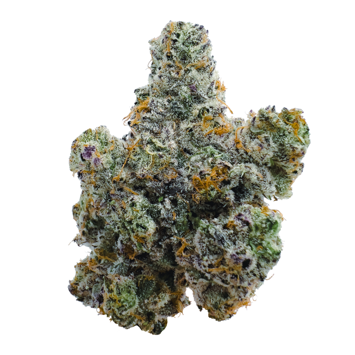 14g/28g - LA Pop Rocks - Indoor Exotic Flower (Indica) - DOGTOWN