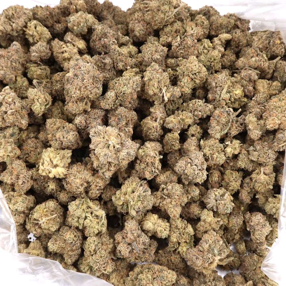 7g - Lato Pop - Indica Hybrid - Image 3