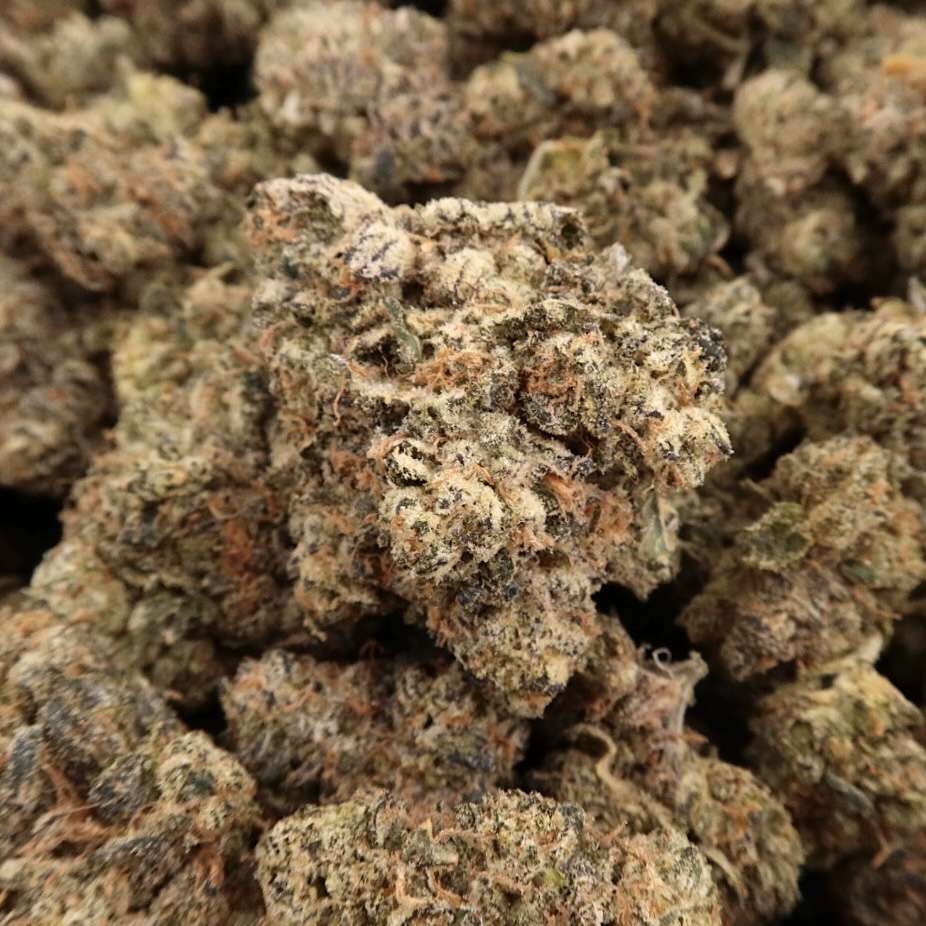 7g - Lato Pop - Indica Hybrid - Image 2