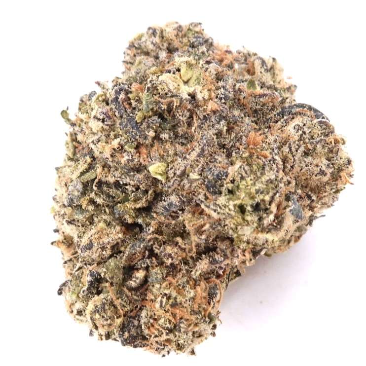 7g - Lato Pop - Indica Hybrid