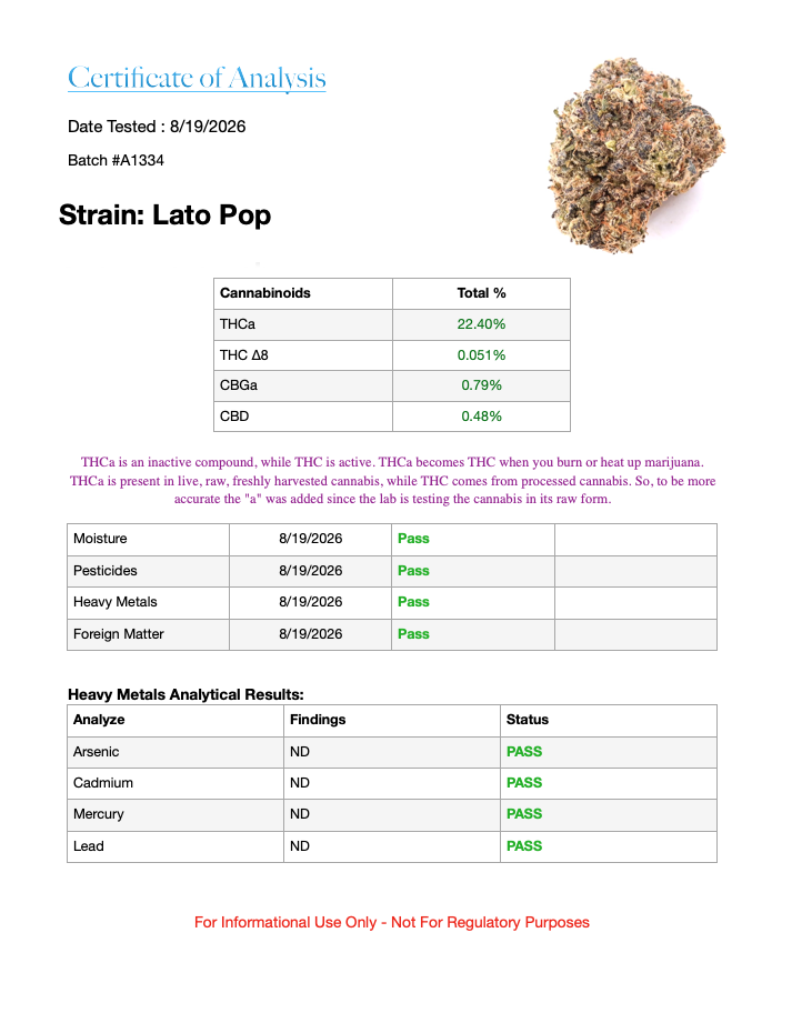 7g - Lato Pop - Indica Hybrid - Image 4