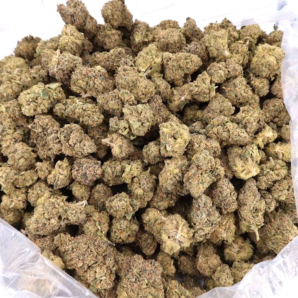 7g - Phantom Runtz - Hybrid - Image 3
