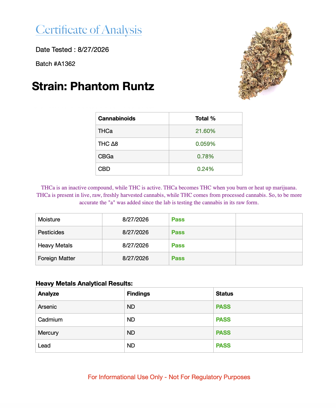 7g - Phantom Runtz - Hybrid - Image 4