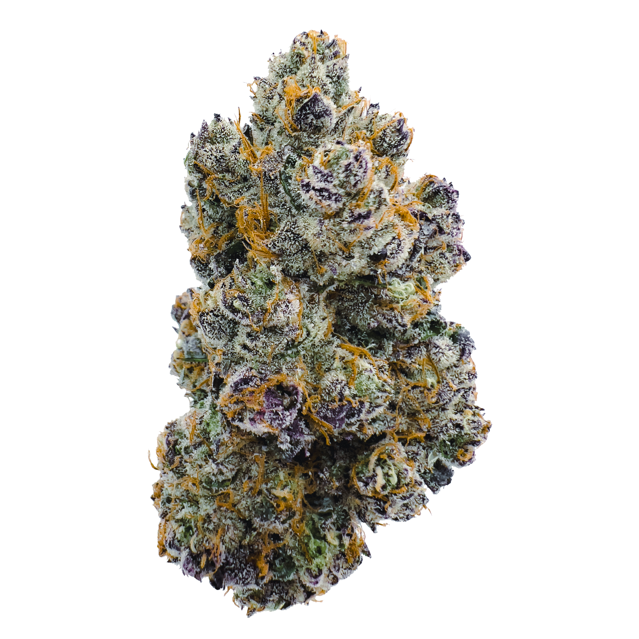 14g/28g - Pink Blueberry Soda - AAA Private Reserve Flower (Indica) - DOGTOWN